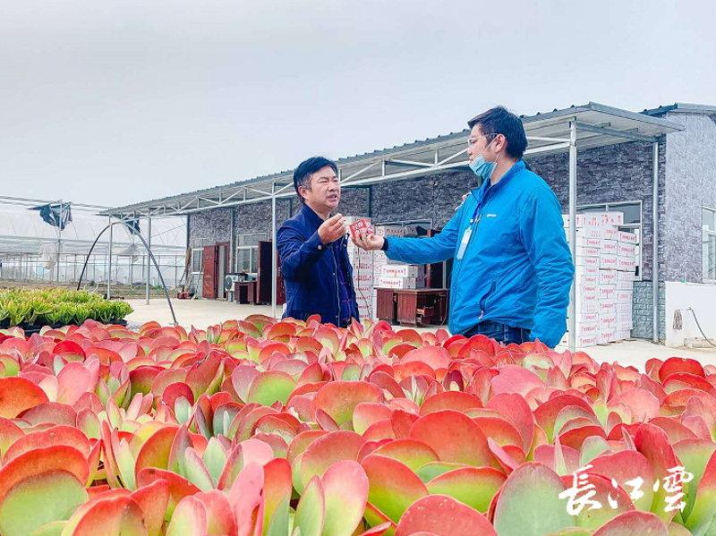 广水瑜泥电子商务：电商潮头的浪花