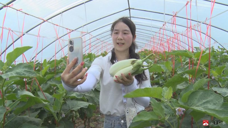 广水网购商城：为城市添活力